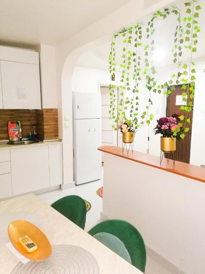 Apartament Near The Park Two Rooms Бухарест Екстер'єр фото